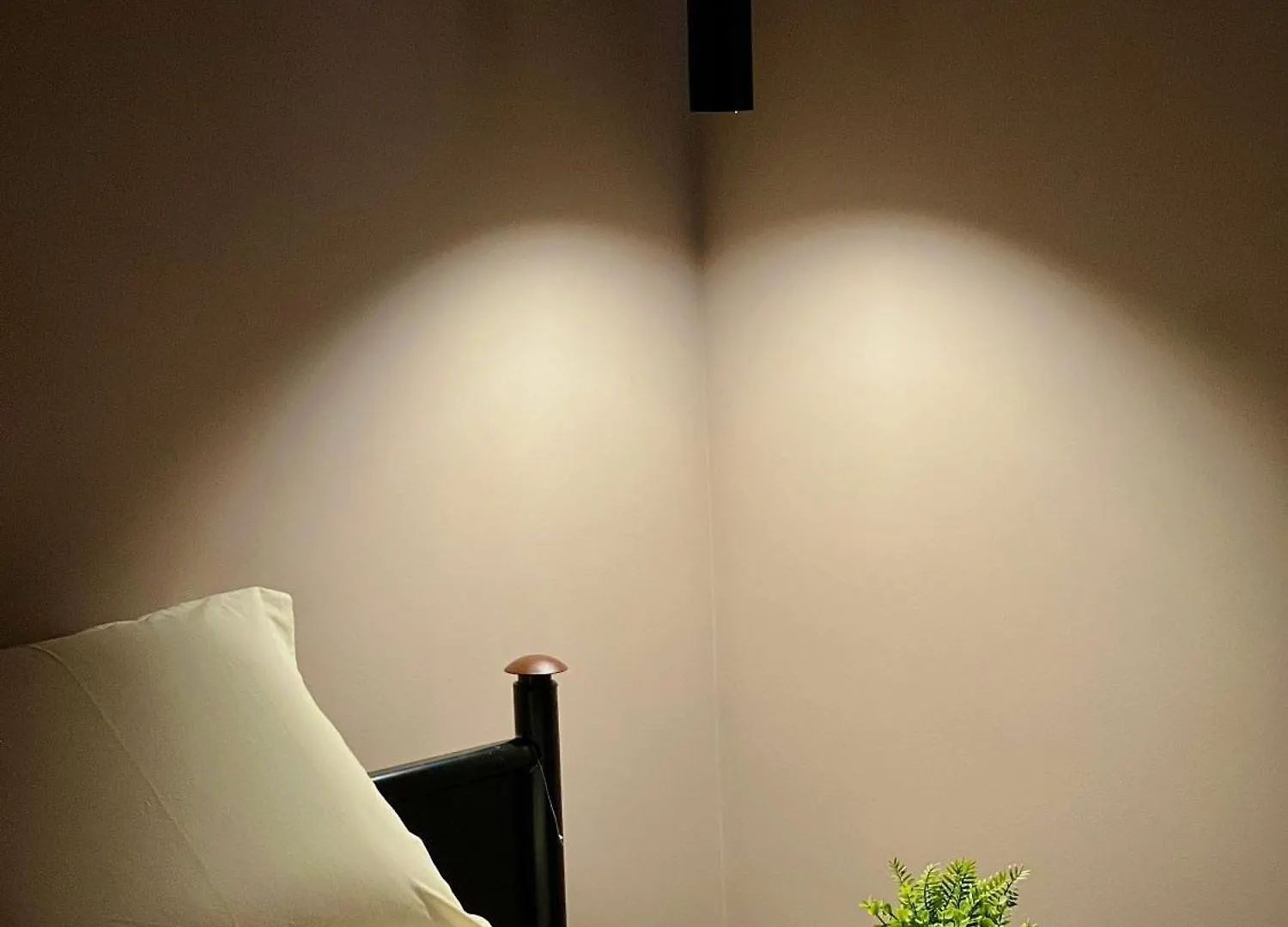 Rex Hotel Boutique Tirana